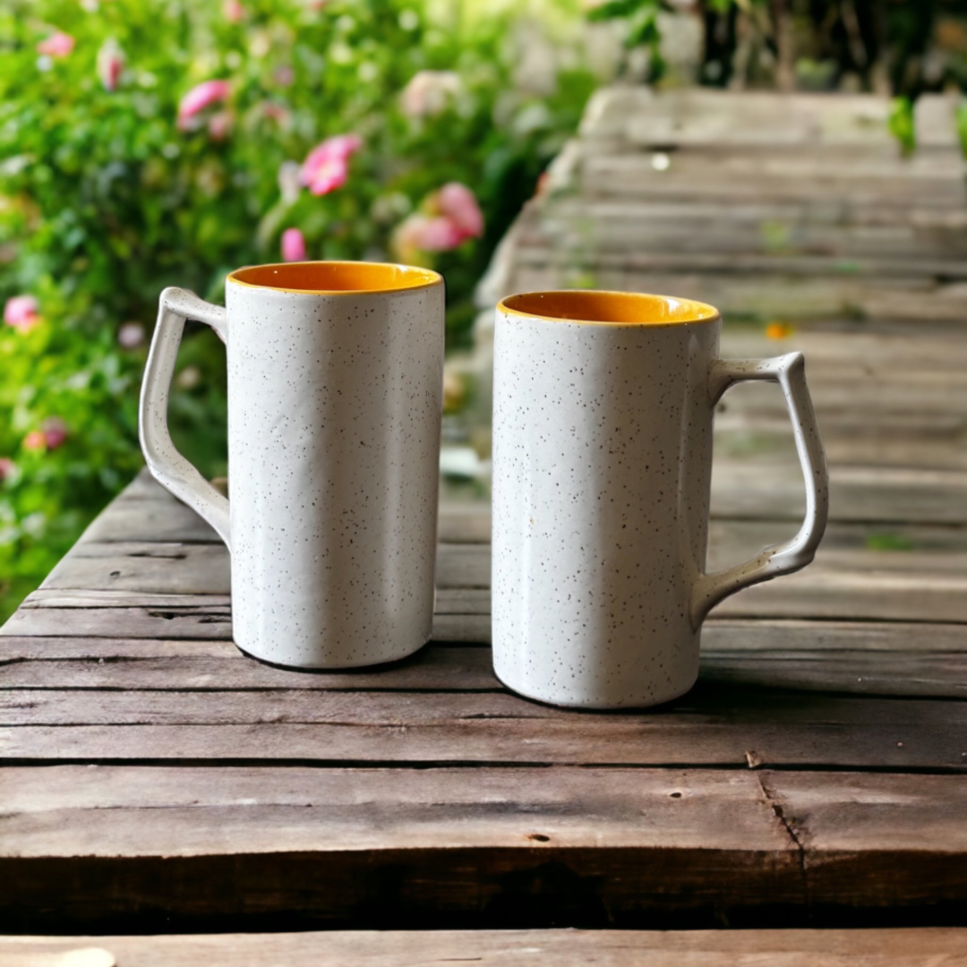 Sunburst beer mugs – set of 2
