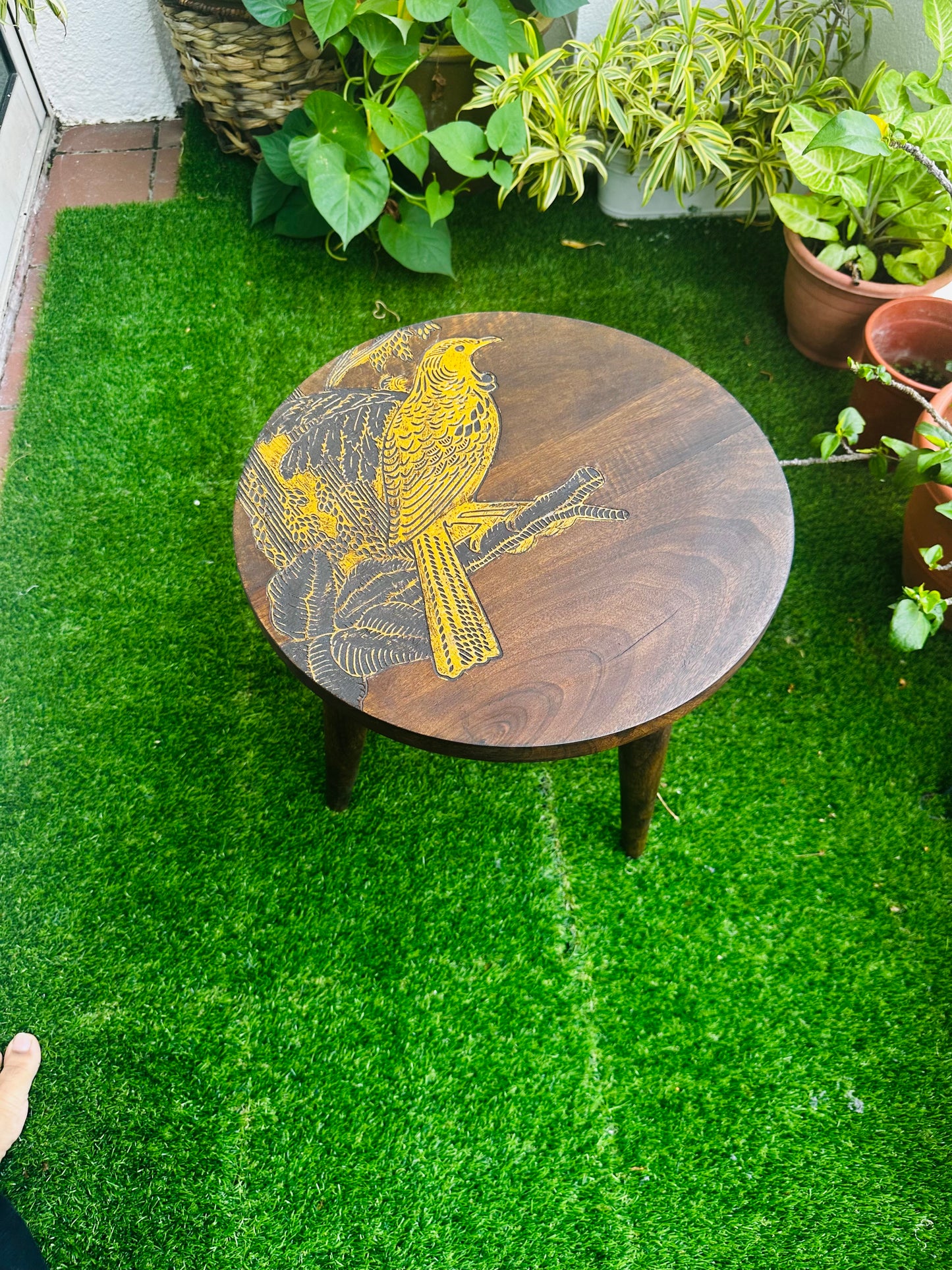Aurora Eagle Mango Wood Table with Detachable Legs