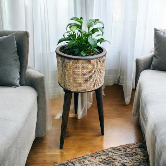 Casa Verde Mango Wood Rattan Planter with Detachable Legs - single