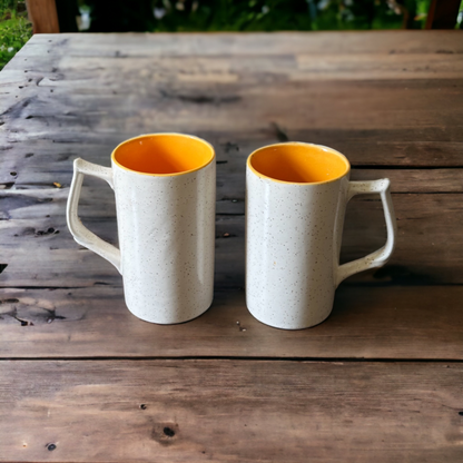 Sunburst beer mugs – set of 2