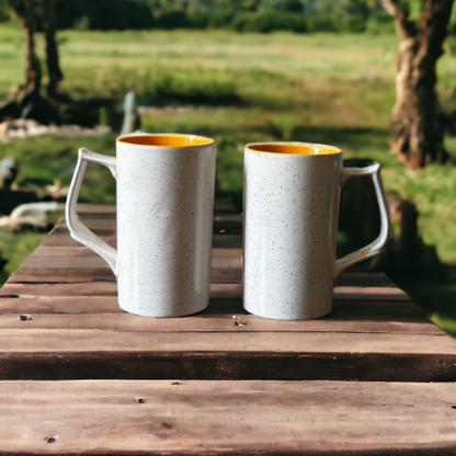 Sunburst beer mugs – set of 2